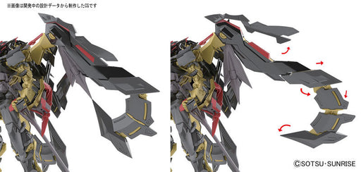 1/144 RG #24 Gundam Astray Gold Frame Amatsu Mina
