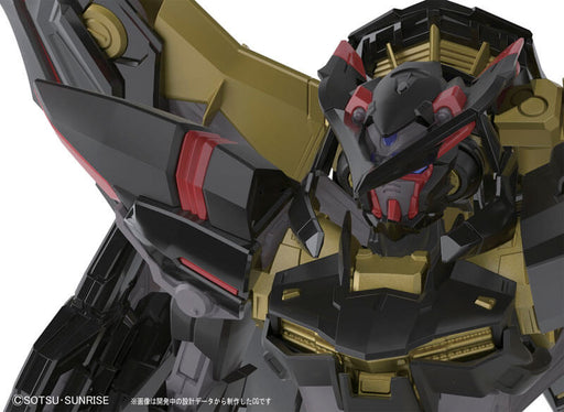 1/144 RG #24 Gundam Astray Gold Frame Amatsu Mina
