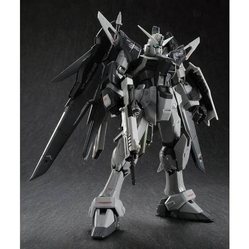 1/144 RG Destiny Gundam Deactive Mode (MP)