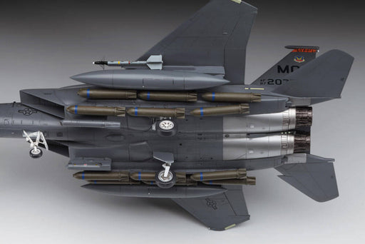 1/72 Hasegawa E39 U.S. Strike Fighter McDonnell Douglas Strike Eagle ver.2