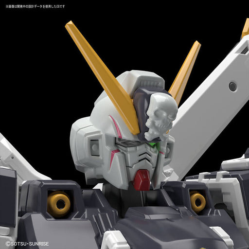 1/144 RG #31 Crossbone Gundam X-1
