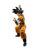 Tamashii Nations S.H. Figuarts Dragon Ball Super Son Goku Super Hero Action Figure
