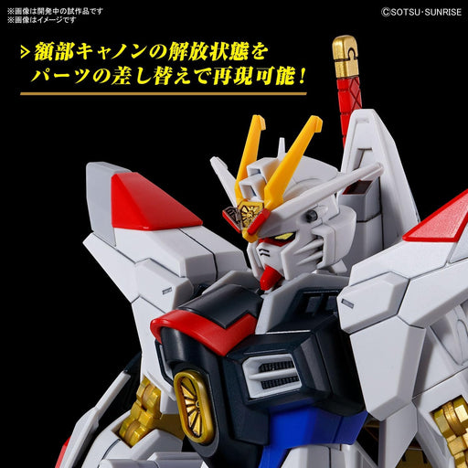 1/144 HGCE #250 Mighty Strike Freedom Gundam