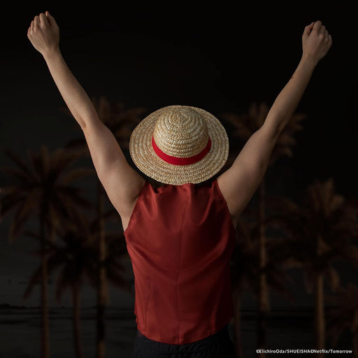 Cinereplica One Piece Monkey D. Luffy Straw Hat