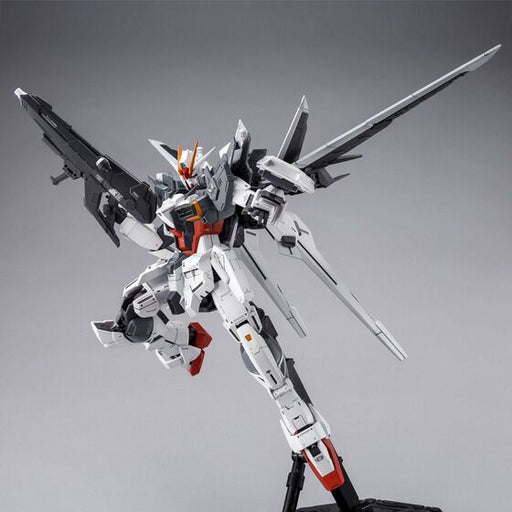 1/100 MG Ex Impulse Gundam Premium Bandai (MP)