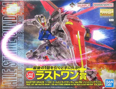 1/100 MG Aile Strike Gundam Ver. RM Solid Clear Another 