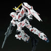 1/144 HG NIKE SB Limited Unicorn Gundam (Destroy Mode) (MP)
