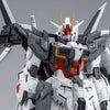 1/100 MG Ex Impulse Gundam Premium Bandai (MP)