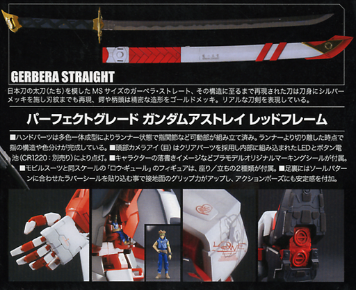 1/60 PG Gundam Astray Red Frame (MP)