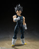 Tamashii Nations S.H. Figuarts Dragon Ball Super Hero Vegeta Action Figure