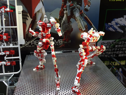 1/144 RG #19 Gundam Astray Red Frame