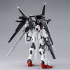 1/100 MG Ex Impulse Gundam Premium Bandai (MP)