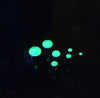 Clear Dome Green M (4.0/4.5/5.0/5.5/6.0mm diameter) (7 pieces each)