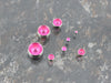 Clear Dome Pink M (4.0/4.5/5.0/5.5/6.0mm diameter) (7 pieces each)