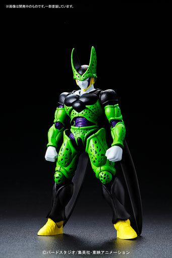 Figure-rise Standard Cell (Perfect Form)
