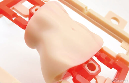 Figure-rise Labo Fumina Hoshino The Second Scene