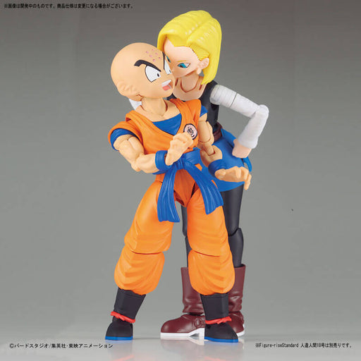 Figure-rise Standard Krillin