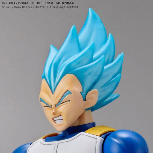Figure-rise Standard Super Saiyan Broly Fullpower