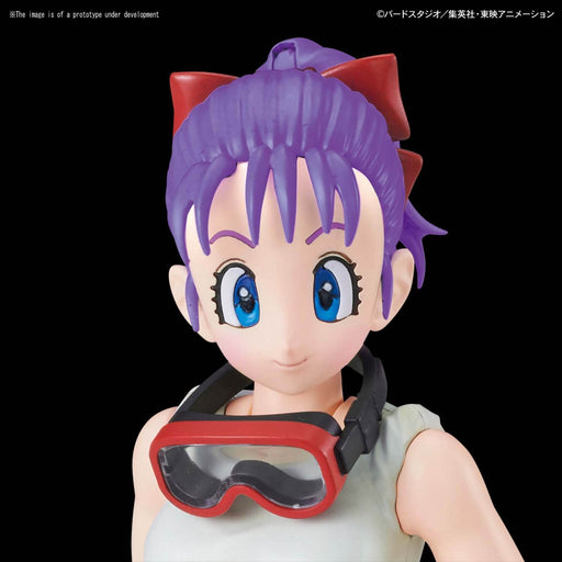 Figure-rise Mechanics Bulma's Variable No.19 Motorcycle