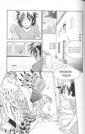 Gold Ring Volume 1 English Version