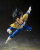 Tamashii Nations S.H. Figuarts Dragon Ball Z Vegeta 24000 Power Level Web Exclusive Action Figure