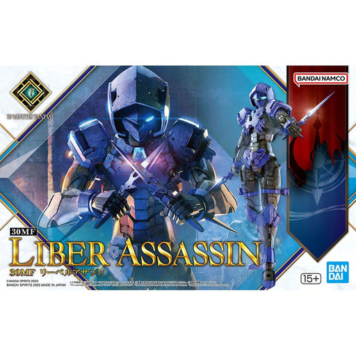 30 Minutes Fantasy Liber Assassin