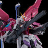 1/144 HG Pbandai RG Destiny Impulse Gundam (MP)