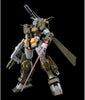 1/100 MG Gundam Stormbringer /Gym Turbulence Build Divers GIMM & Ball's World Challenge